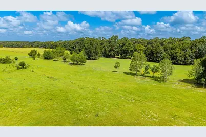 0000 NW 20th Street, Bell, FL 32619 - Photo 10