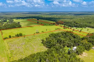 0000 NW 20th St, Bell, FL 32619 - Photo 1
