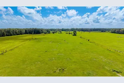 0000 NW 20th Street, Bell, FL 32619 - Photo 6