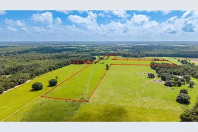 0000 NW 20th Street, Bell, FL 32619 - Photo 4