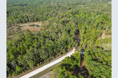 957 NE 354th Avenue, Old Town, FL 32680 - Photo 2