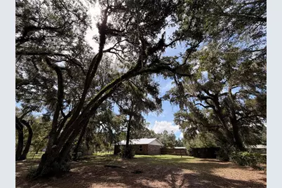 217 SE 118th Avenue, Old Town, FL 32680 - Photo 18