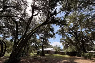 217 SE 118th Ave, Old Town, FL 32680 - Photo 18