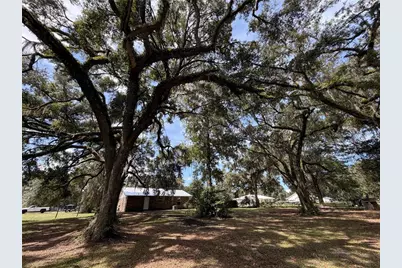 217 SE 118th Avenue, Old Town, FL 32680 - Photo 20
