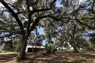 217 SE 118th Ave, Old Town, FL 32680 - Photo 20