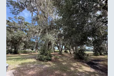 217 SE 118th Avenue, Old Town, FL 32680 - Photo 16