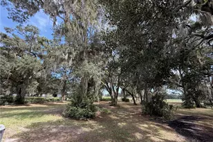 217 SE 118th Ave, Old Town, FL 32680 - Photo 16