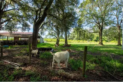 9284 NW Cr  225, Starke, FL 32091 - Photo 52