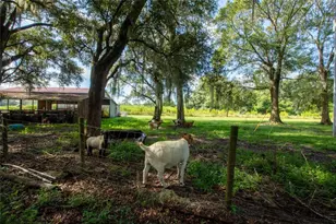 9284 NW Cr 225, Starke, FL 32091 - Photo 52