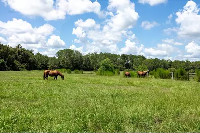 9284 NW Cr  225, Starke, FL 32091 - Photo 98