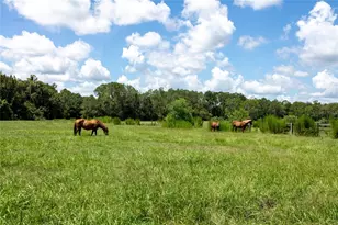 9284 NW Cr 225, Starke, FL 32091 - Photo 98