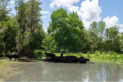 9284 NW Cr  225, Starke, FL 32091 - Photo 90