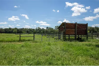 9284 NW Cr  225, Starke, FL 32091 - Photo 92