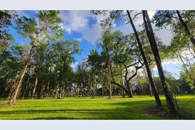 16545 NW 128th Terrace #Lot 37 & 36, Reddick, FL 32686 - Photo 2