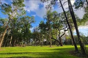 16545 NW 128th Terrace, Reddick, FL 32686 - Photo 1
