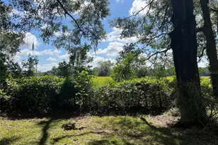 17417 NW 222nd St, High Springs, FL 32643 - Photo 40