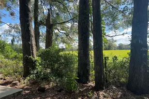 17417 NW 222nd St, High Springs, FL 32643 - Photo 34