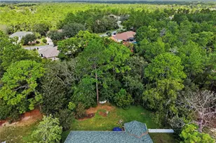10 Colubrina Ct, Homosassa, FL 34446 - Photo 4