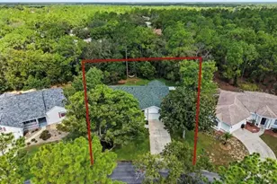 10 Colubrina Ct, Homosassa, FL 34446 - Photo 58