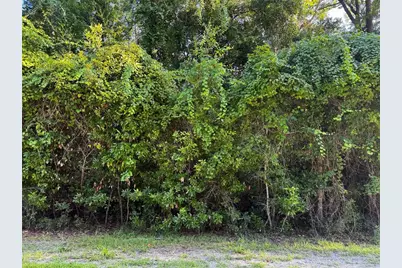 Sw Fox Place #Lots 38 & 39, Fort White, FL 32038 - Photo 14