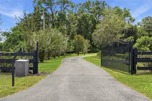 26341 NW 166th Ave, High Springs, FL 32643 - Photo 4