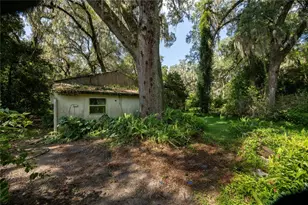 3234 NW 42nd Ave, Gainesville, FL 32605 - Photo 46