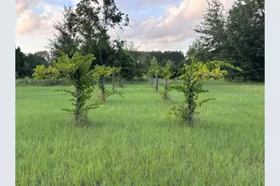 13270 NW 3rd Terrace, Trenton, FL 32693 - Photo 54