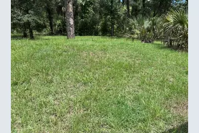 7455 NW 95th Street, Chiefland, FL 32626 - Photo 6