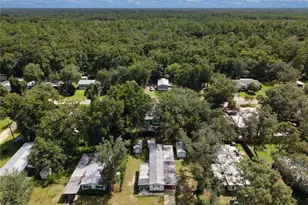 11151 NW 112 Pl, Chiefland, FL 32626 - Photo 34