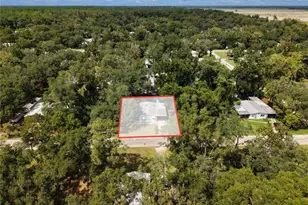 11151 NW 112 Pl, Chiefland, FL 32626 - Photo 30