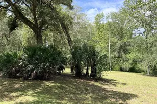 1957 SE 477th Ave, Old Town, FL 32680 - Photo 4
