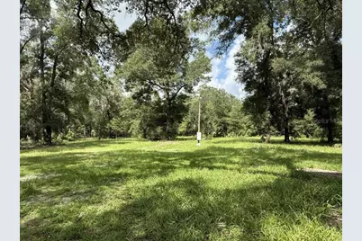 8431 NW 60 Avenue, Chiefland, FL 32626 - Photo 4