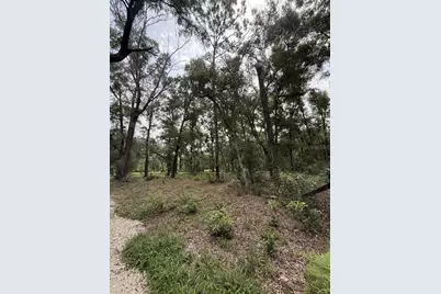 8431 NW 60 Avenue, Chiefland, FL 32626 - Photo 2