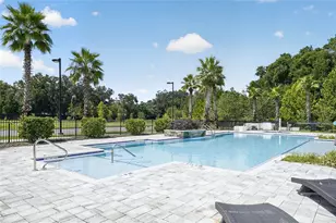 5008 SW 34th Pl, Gainesville, FL 32608 - Photo 4
