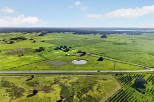 4027 N C 470, Lake Panasoffkee, FL 33538 - Photo 50