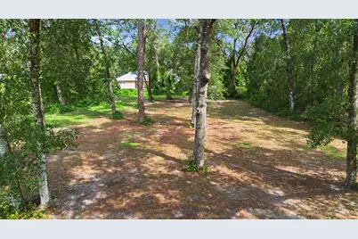 295 SE 28th Street, Melrose, FL 32666 - Photo 80