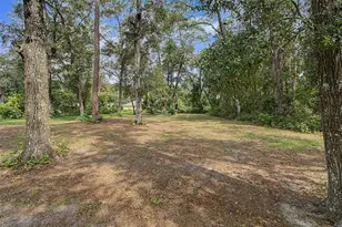 295 SE 28th St, Melrose, FL 32666 - Photo 76