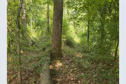 Tbd NW Spring Hollow Boulevard, Lake City, FL 32055 - Photo 10