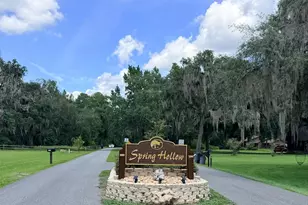 Tbd NW Spring Hollow Blvd, Lake City, FL 32055 - Photo 1