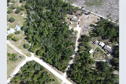 79 NE 91st Street, Branford, FL 32008 - Photo 36
