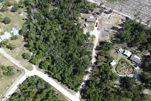 79 NE 91st St, Branford, FL 32008 - Photo 36