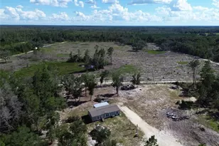 79 NE 91st St, Branford, FL 32008 - Photo 38