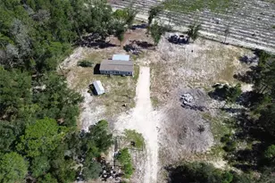79 NE 91st St, Branford, FL 32008 - Photo 30