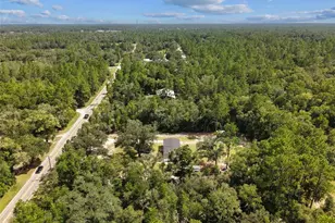 7650 NE 105th Ave, Bronson, FL 32621 - Photo 8