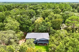 13691 NE 8 St, Williston, FL 32696 - Photo 50