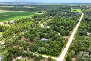 13691 NE 8 St, Williston, FL 32696 - Photo 56