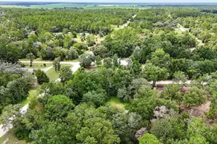 13691 NE 8 St, Williston, FL 32696 - Photo 58