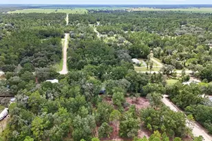 13691 NE 8 St, Williston, FL 32696 - Photo 54