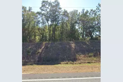 Tbd NE Hwy 27 Alt, Bronson, FL 32621 - Photo 2