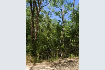 Tbd NE Hwy 27 Alt, Bronson, FL 32621 - Photo 6